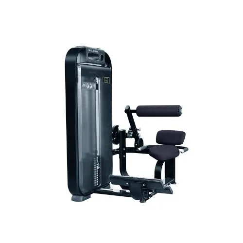 Low Back SPG012 Ellipse Fitness